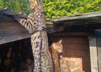 Screenshot_2025-05-02-21-48-02-309_com.miui.gallery