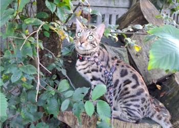 Screenshot_2025-05-02-21-44-12-041_com.miui.gallery